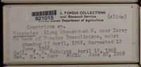 Image Associated With the Occurence